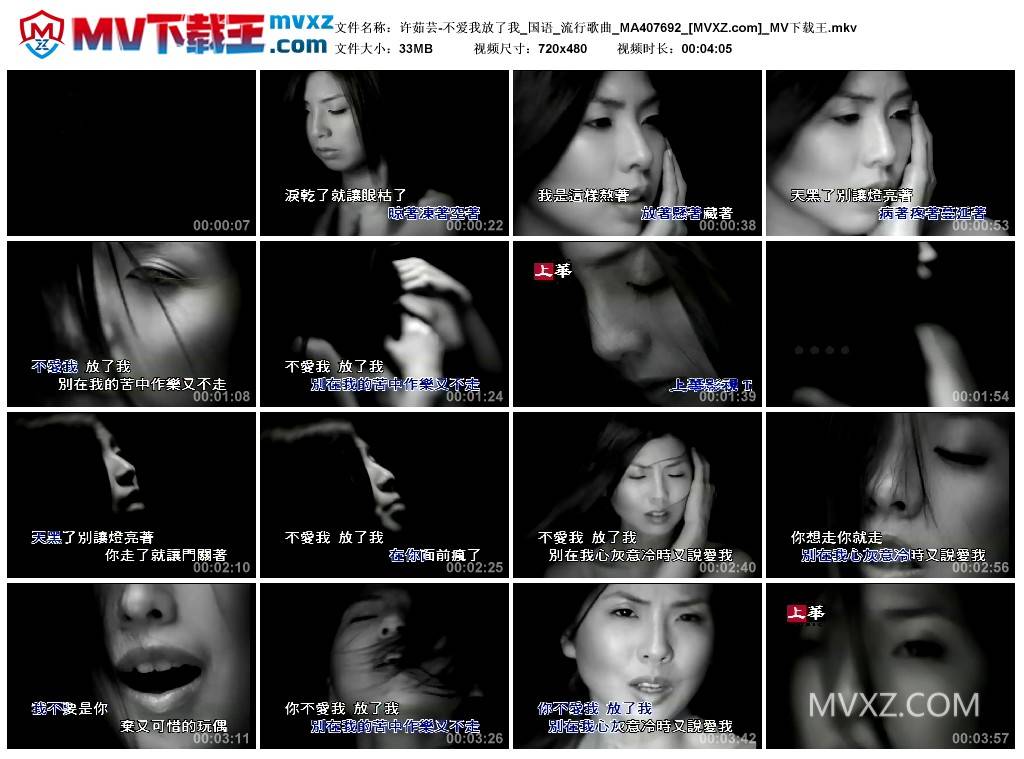 许茹芸-不爱我放了我_国语_流行歌曲_MA407692